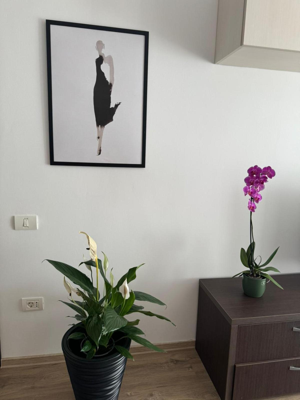 Apart Mihai Viteazu Residence براشوف المظهر الخارجي الصورة